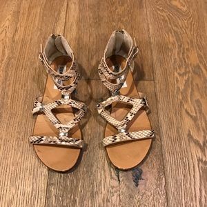Steve Madden snake skin sandals